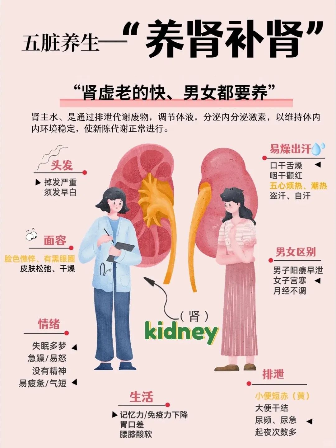 四大 “补肾”良品